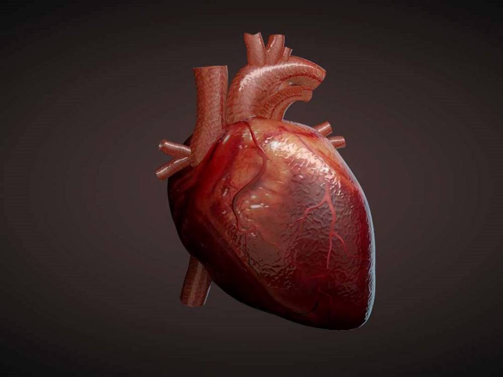 مشکلات دریچه‌های قلب خطری پنهان در سینه شما