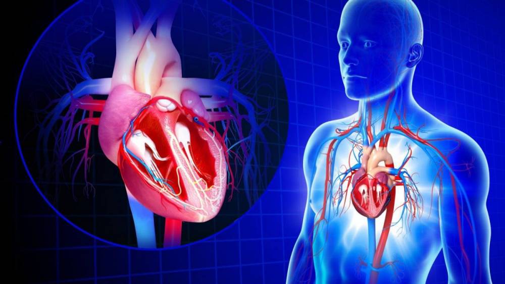 نارسایی‌های قلبی و اختلالات عضلات قلب